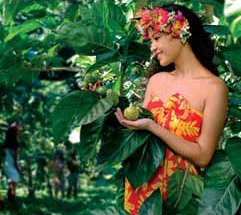 12012-4.jpg, 49 KB